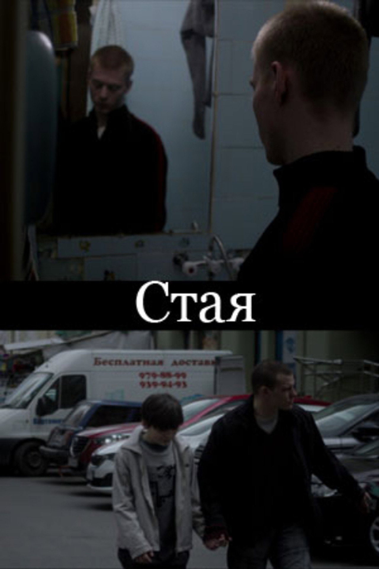 Стая filmaffisch