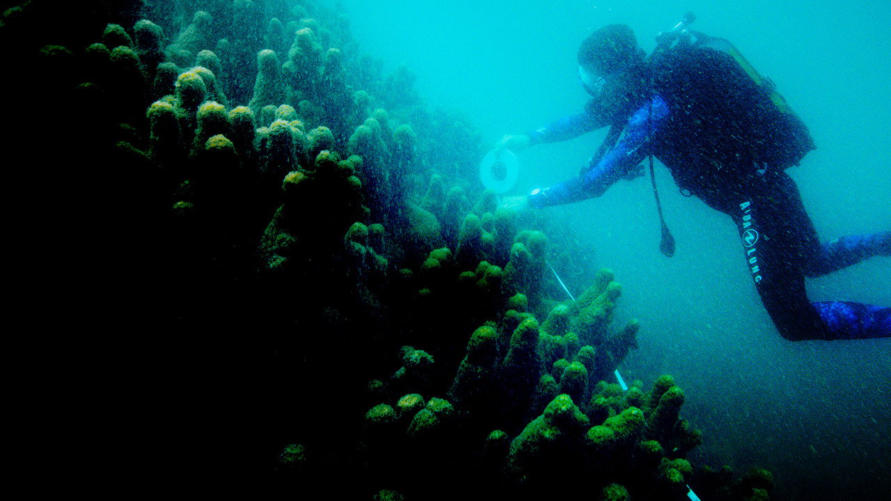 Ocean’s Breath still 4
