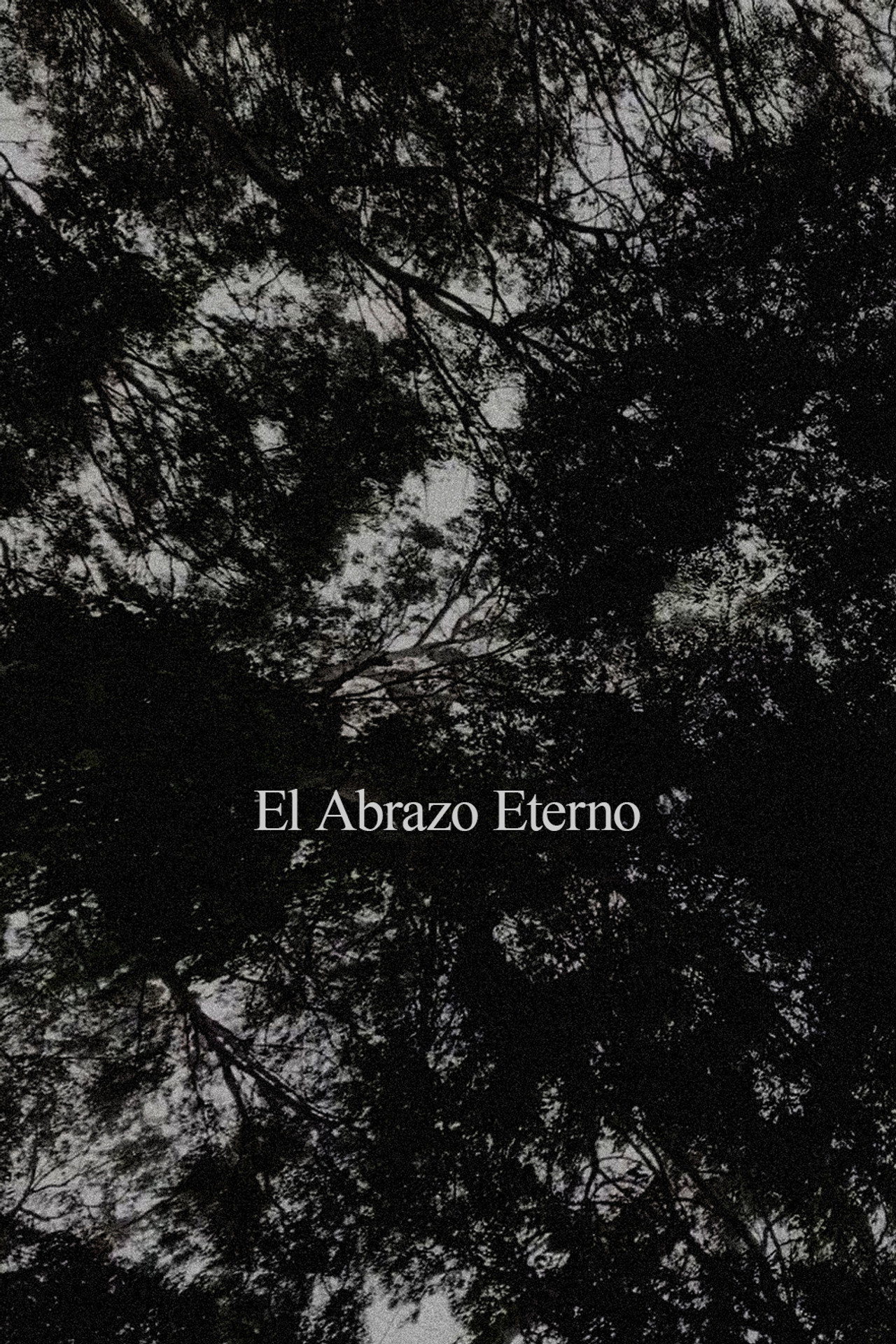 El Abrazo Eterno poster