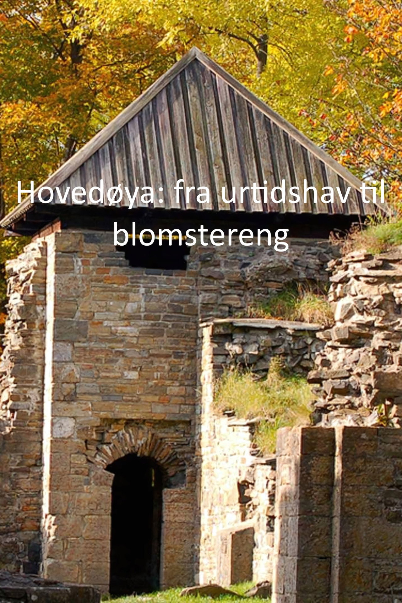 Hovedøya: fra urtidshav til blomstereng affisch