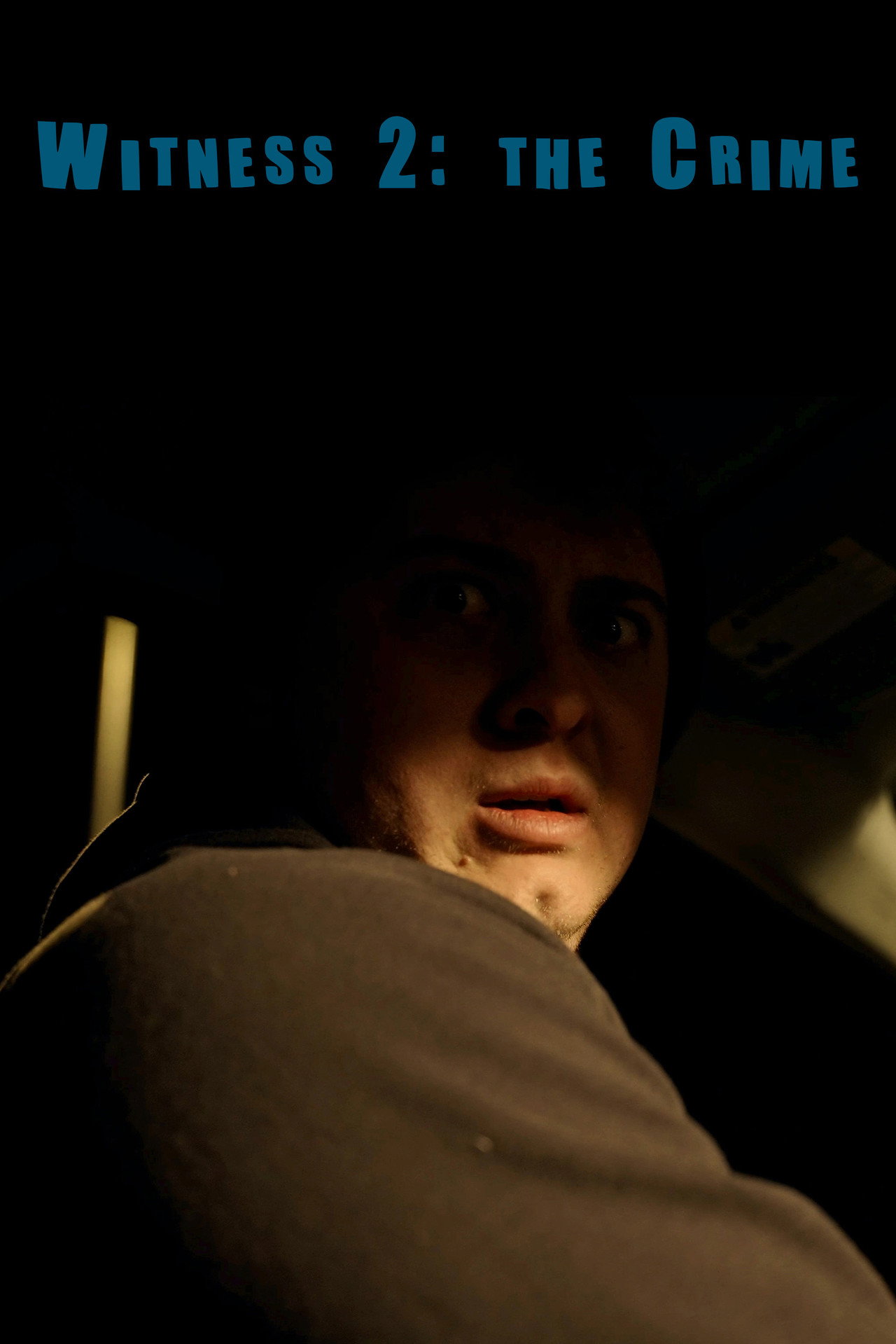 Witness 2: The Crime filmaffisch