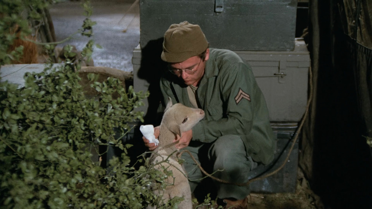 M*A*S*H - Season 3 Episode 14 : Private Charles Lamb