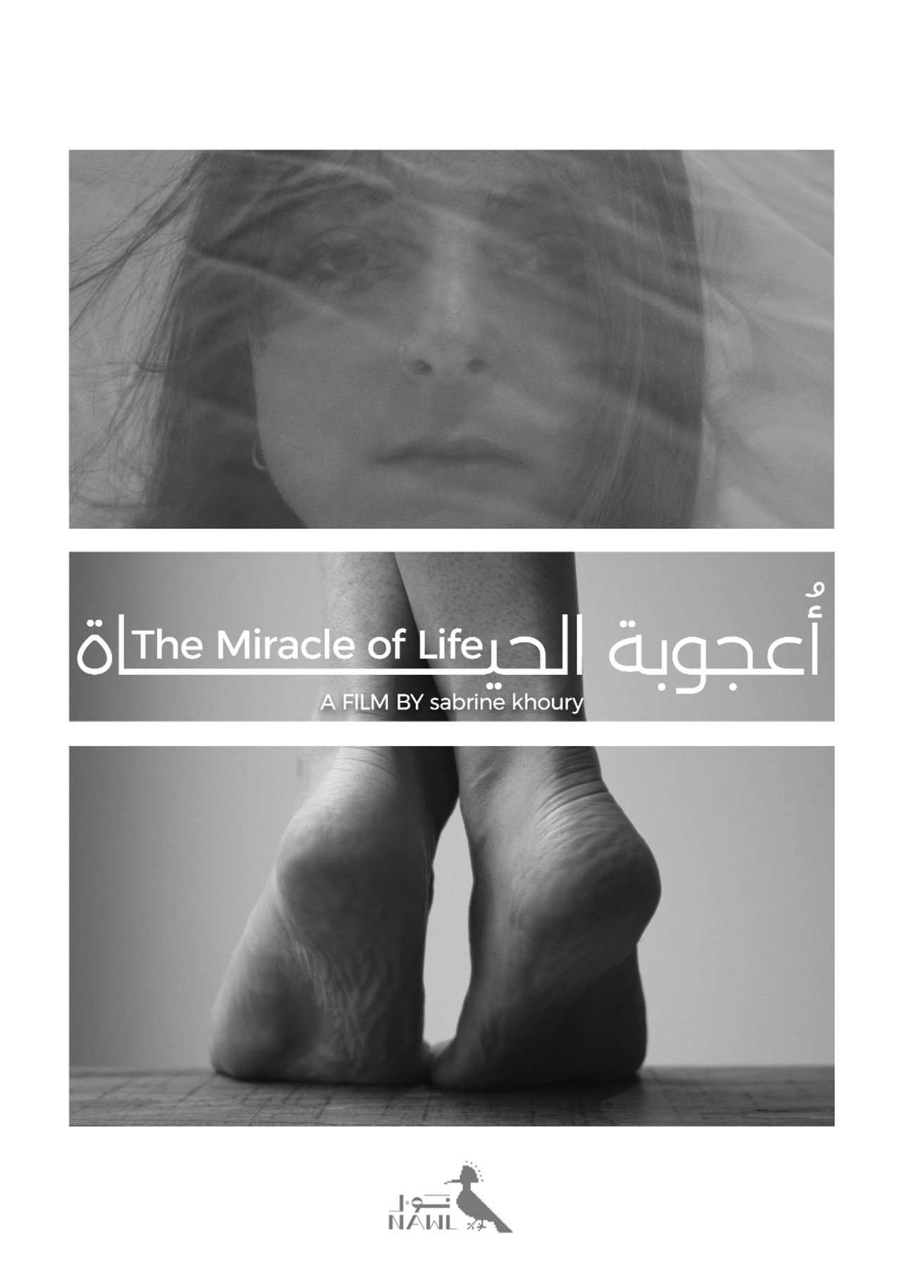 أعجوبة الحياة