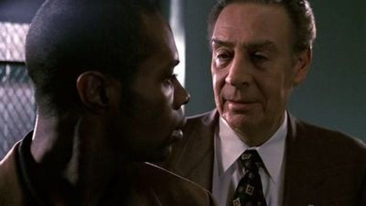 Law & Order - Season 10 Episode 17 : Black, White and Blue