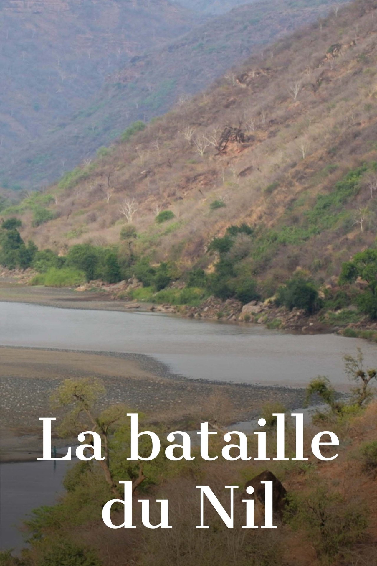 La Bataille du Nil poster