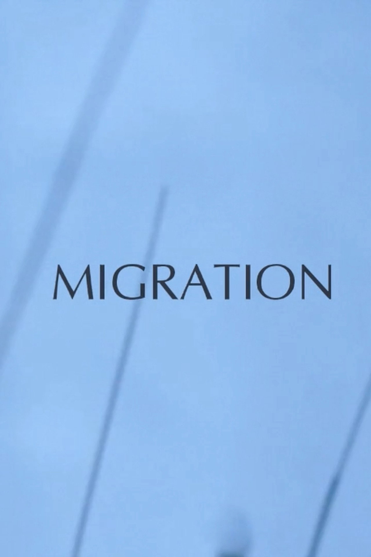 Migration poster