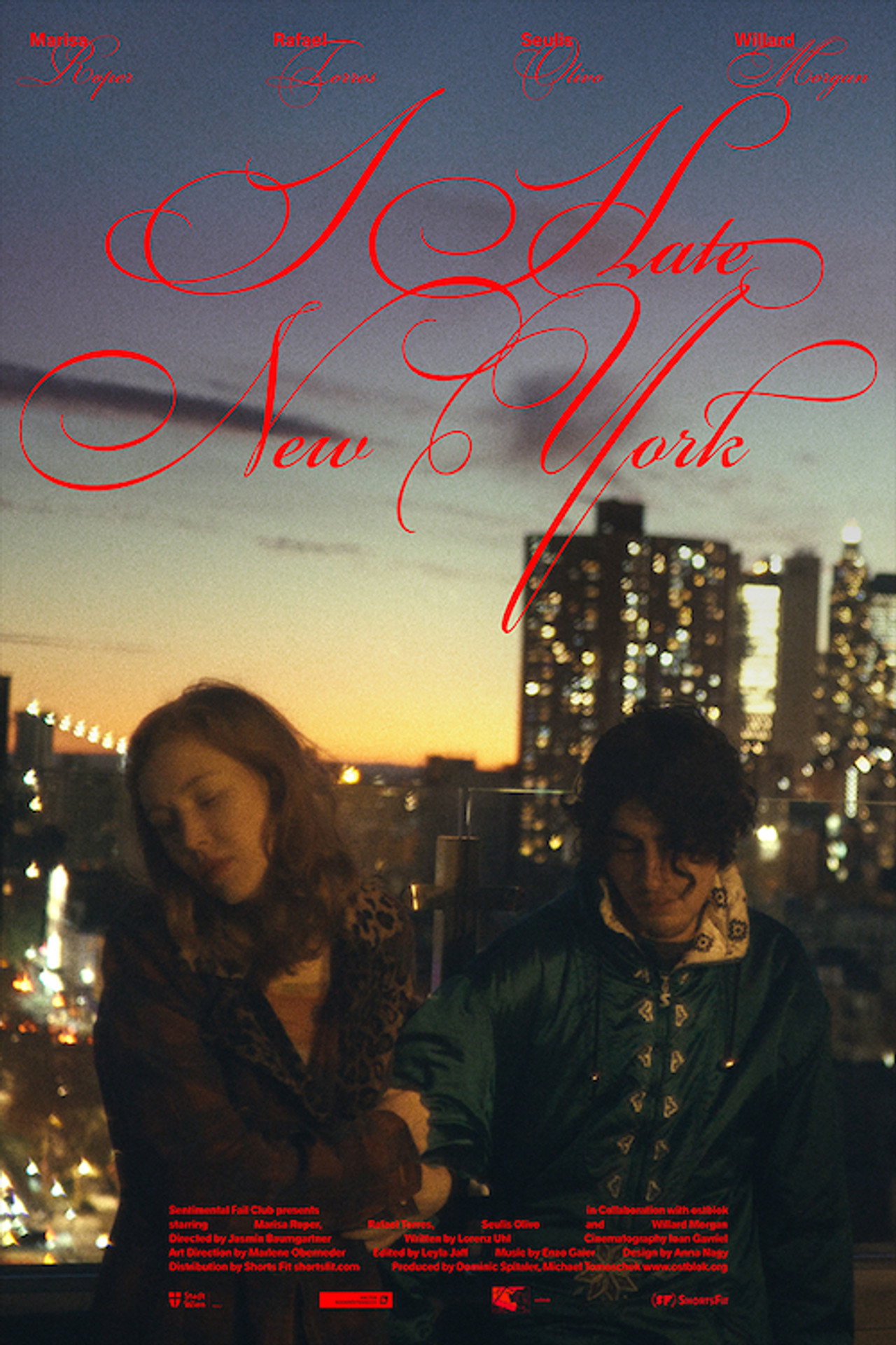 I Hate New York Backdrop