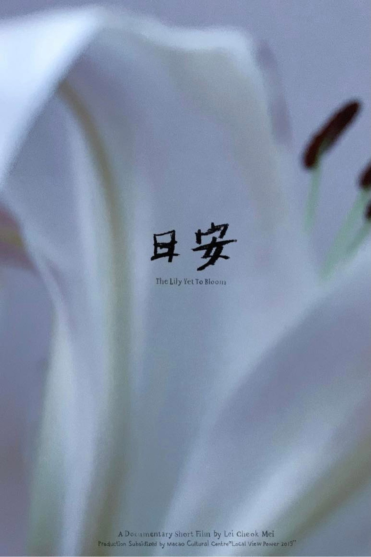The Lily Yet To Bloom (2019)