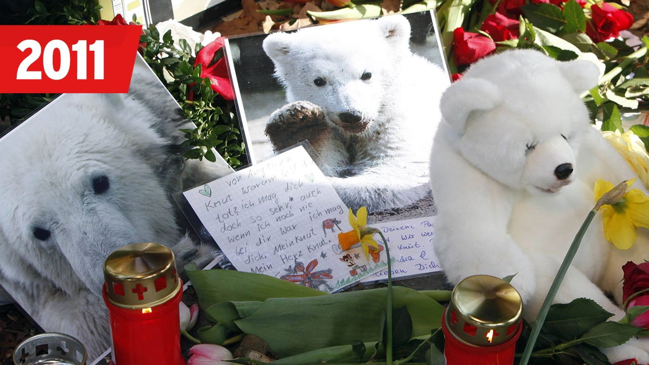 Berlin - Schicksalsjahre einer Stadt — Épisode 2