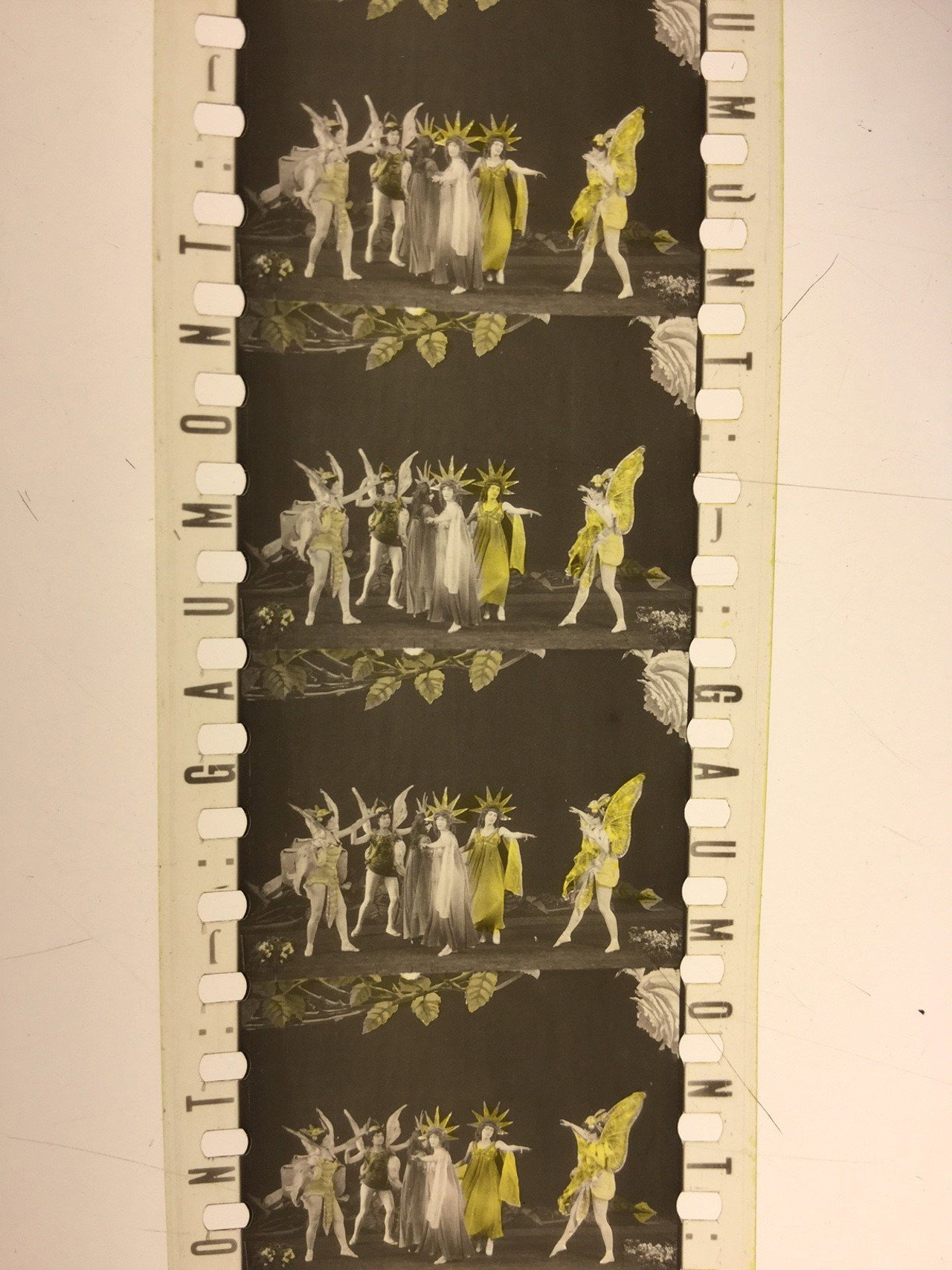 Les Roses filmaffisch