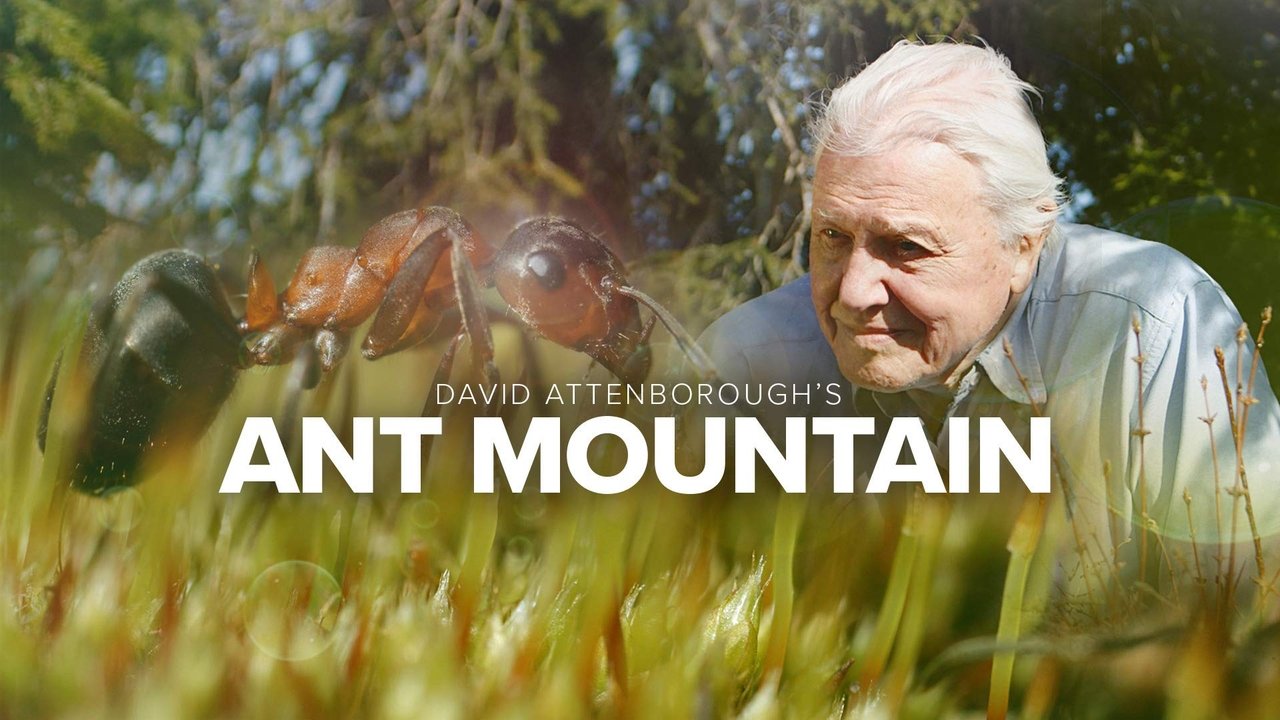 David Attenborough's Ant Mountain background