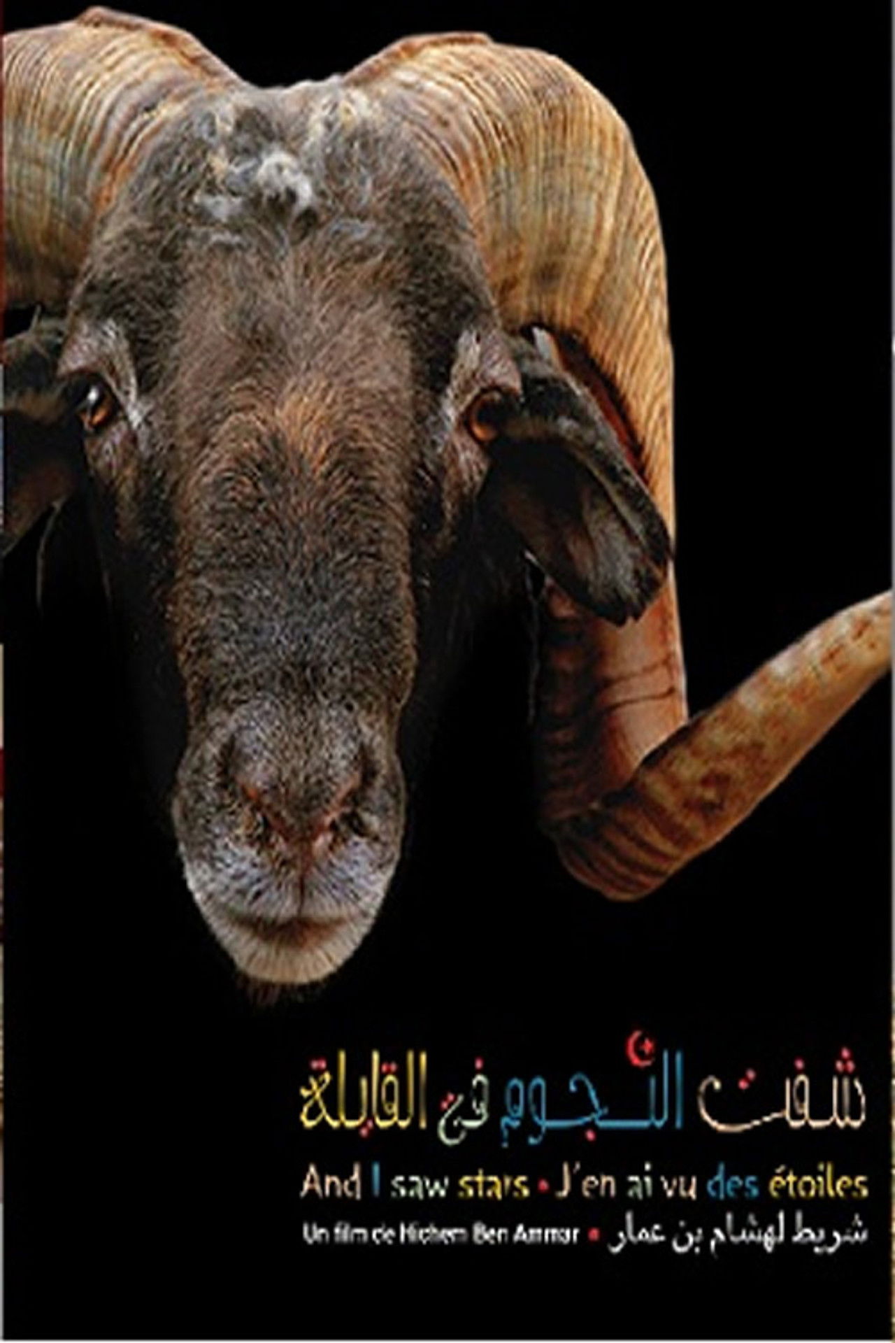 شفت النجوم فالقايلة poster