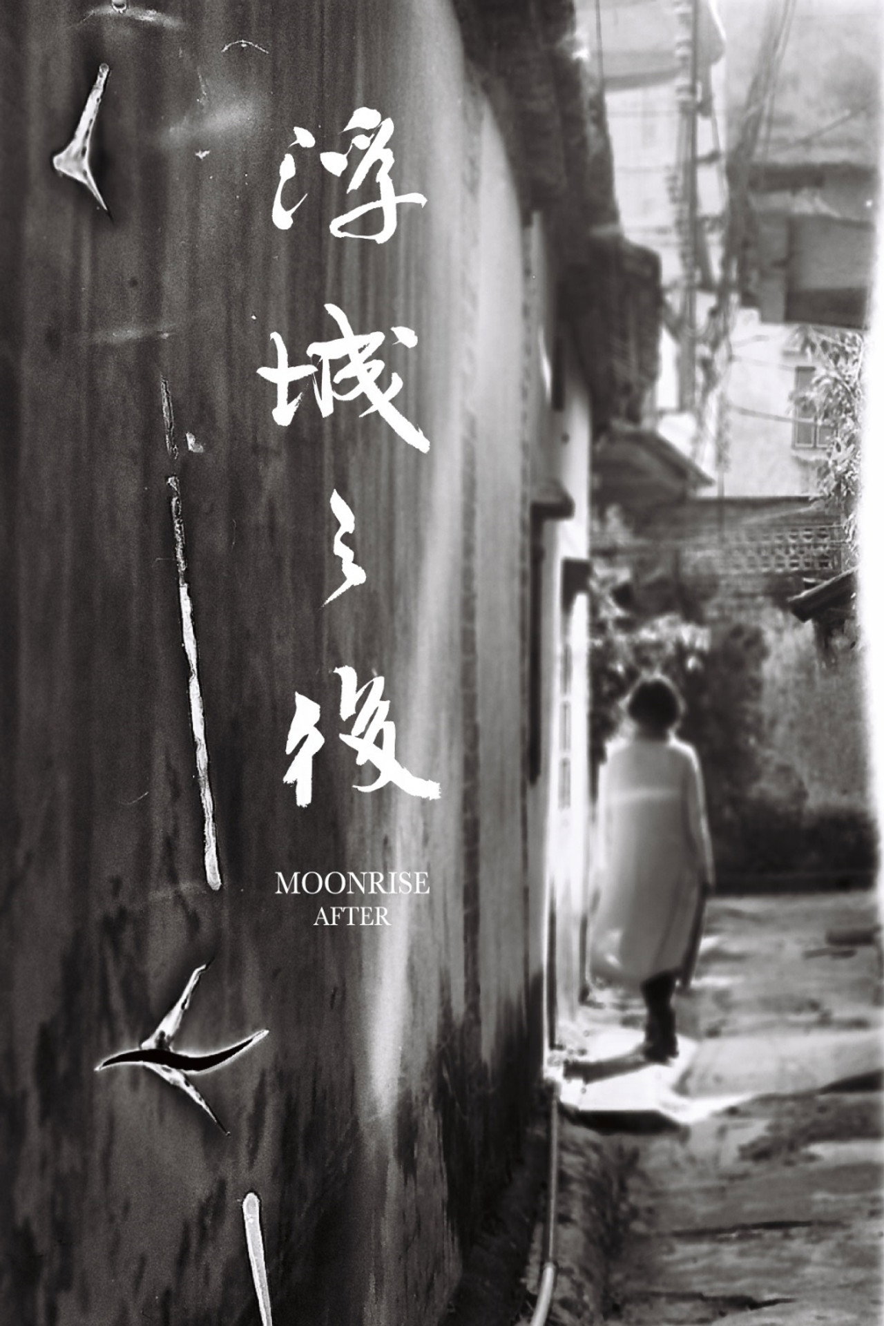 浮城之後 filmaffisch