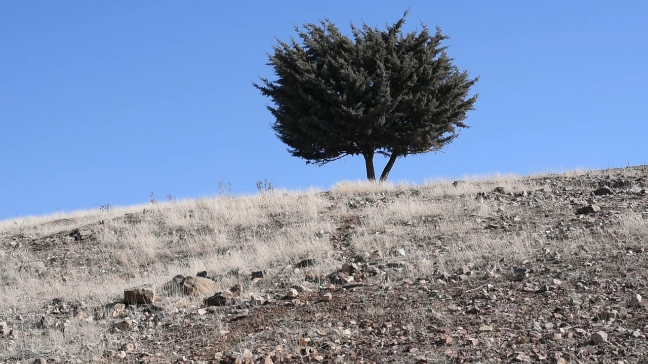 title image