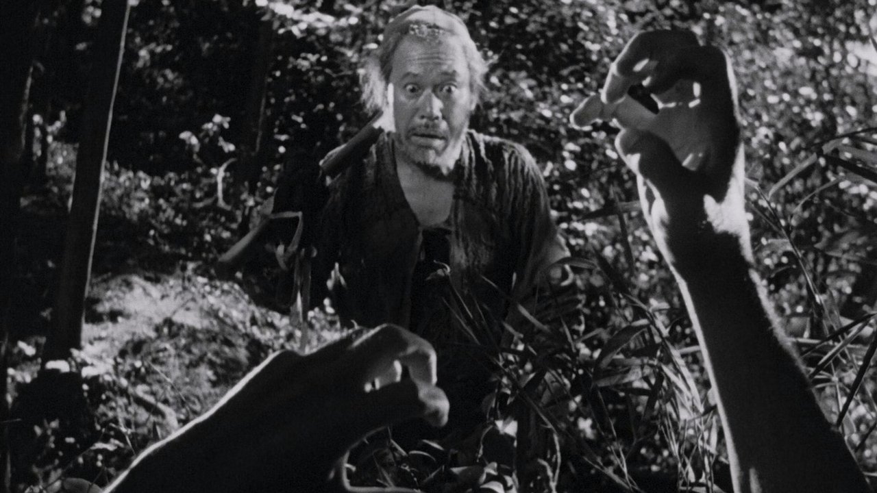 Rashomon backdrop