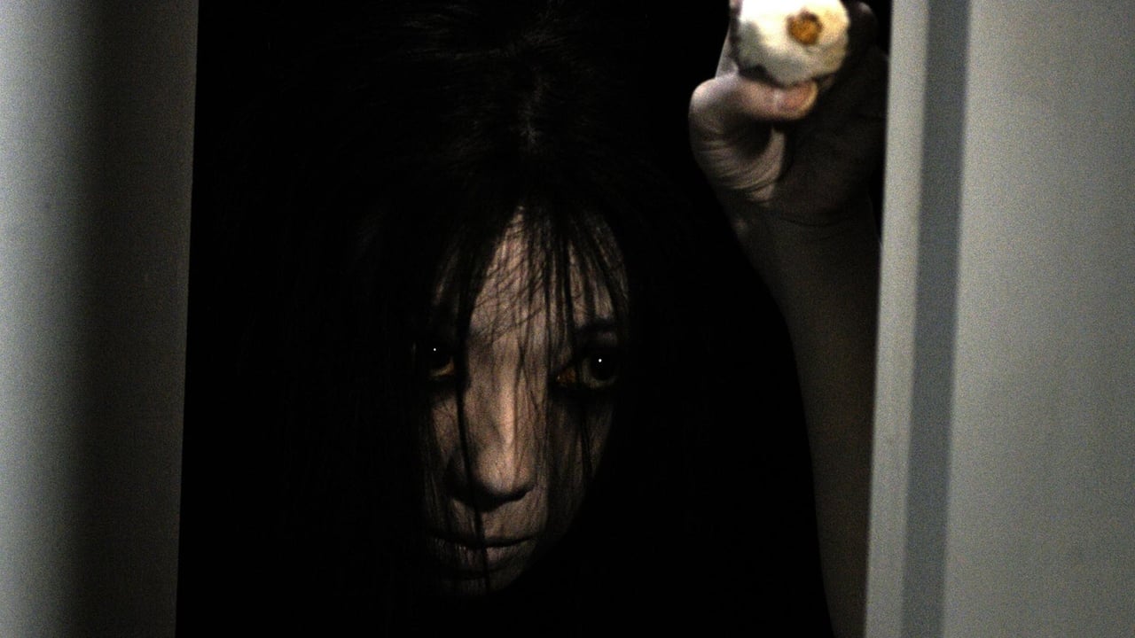 Artwork for The Grudge