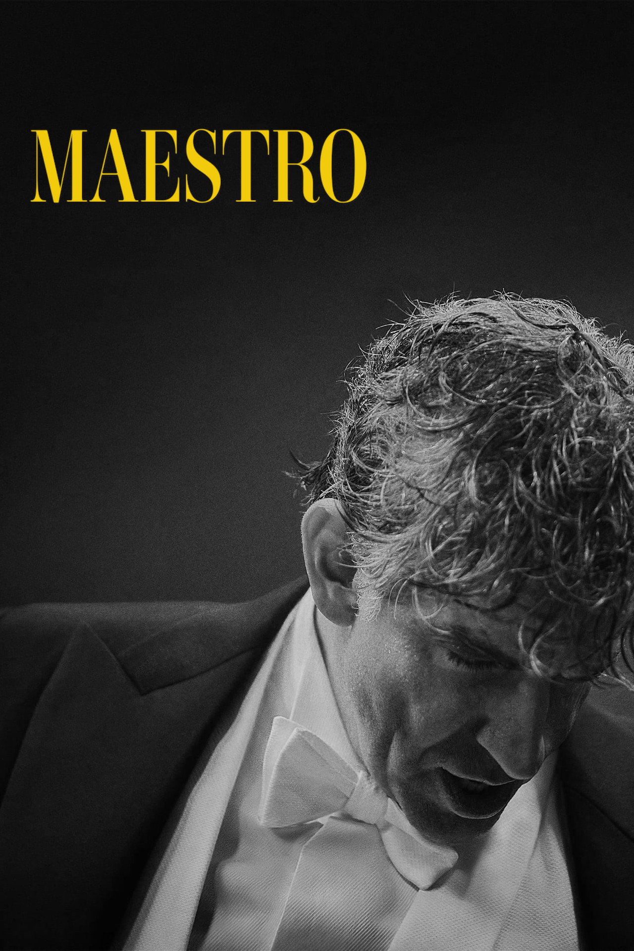 Maestro