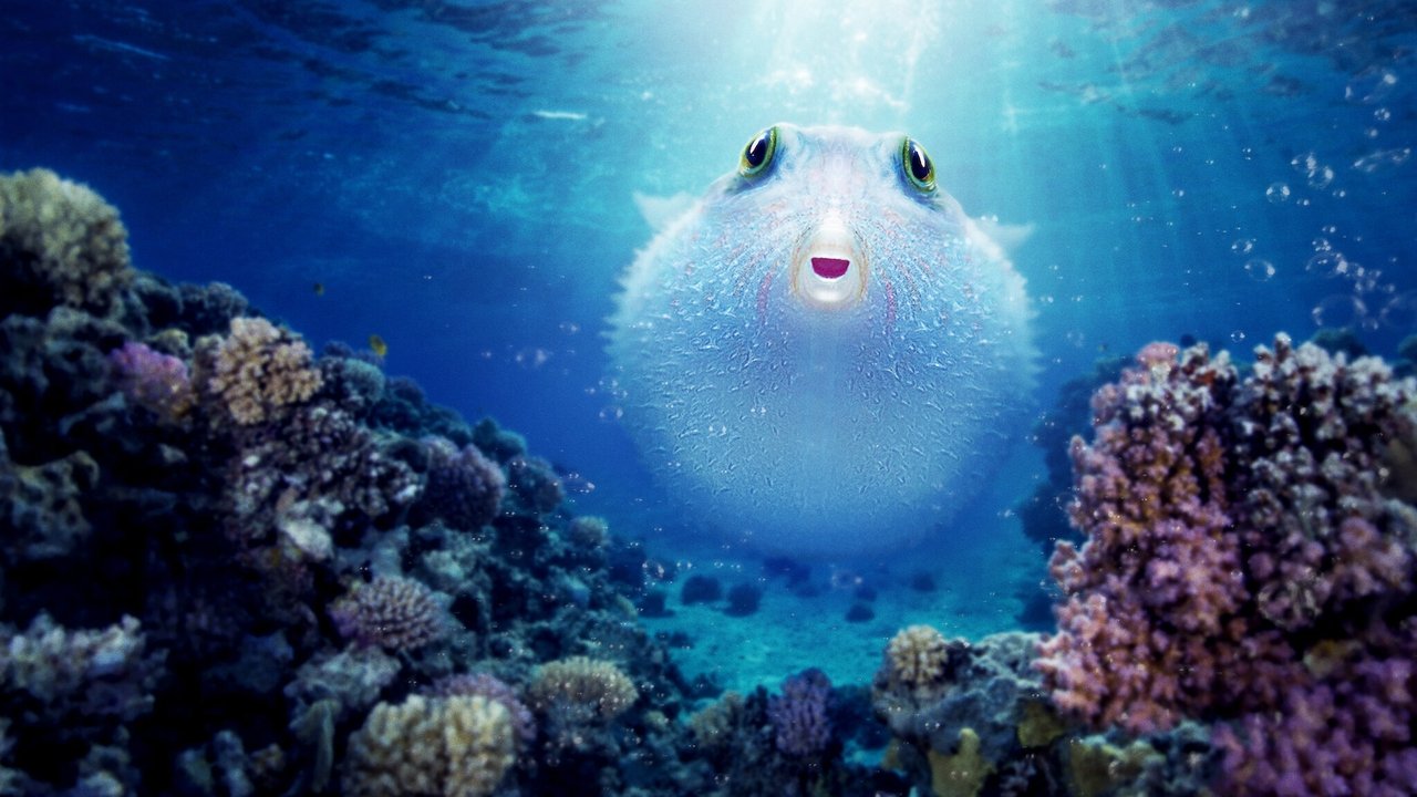 Puff: Wonders of the Reef (2021)