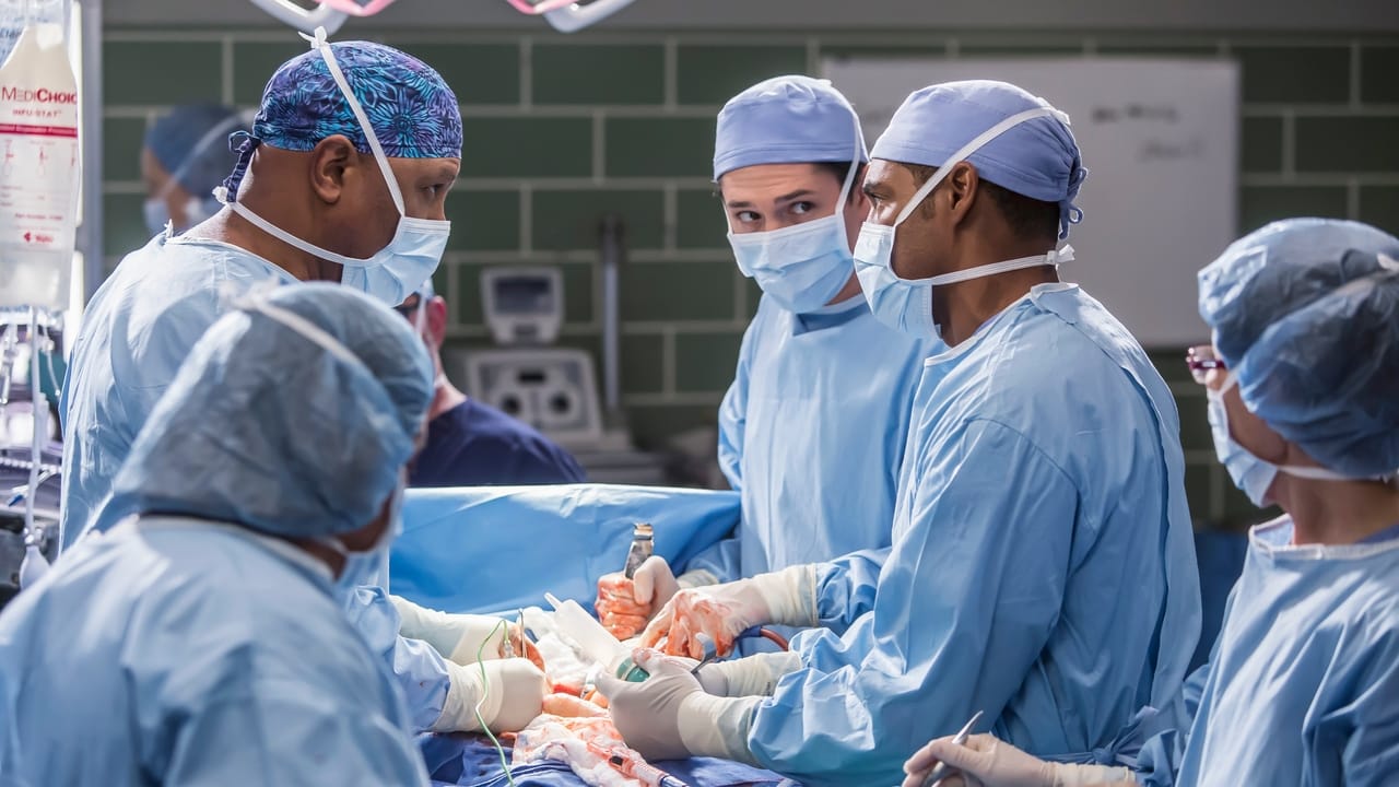 Grey's Anatomy - Season 12 Episode 13 : All Eyez on Me