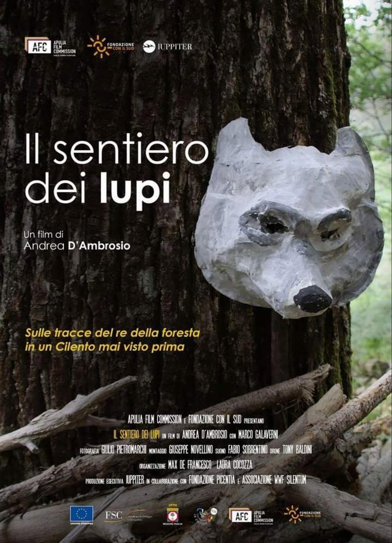 Il sentiero dei lupi filmaffisch