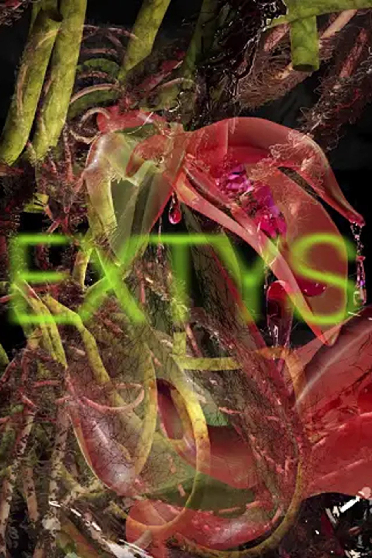 Extys