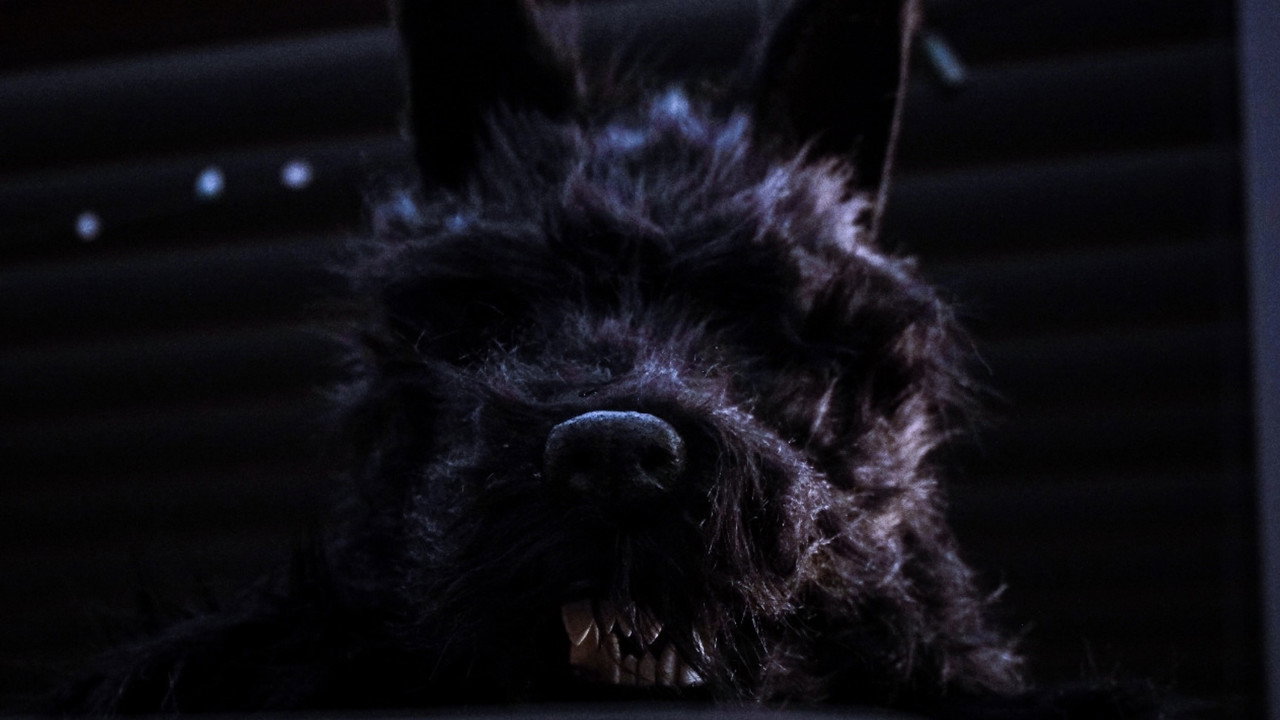 Dogman