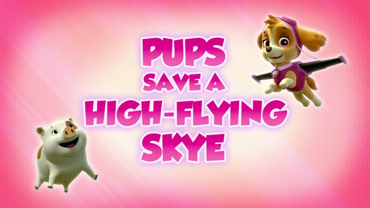 PAW Patrol - Season 5 Episode 9 : Pups Save a High-Flying Skye