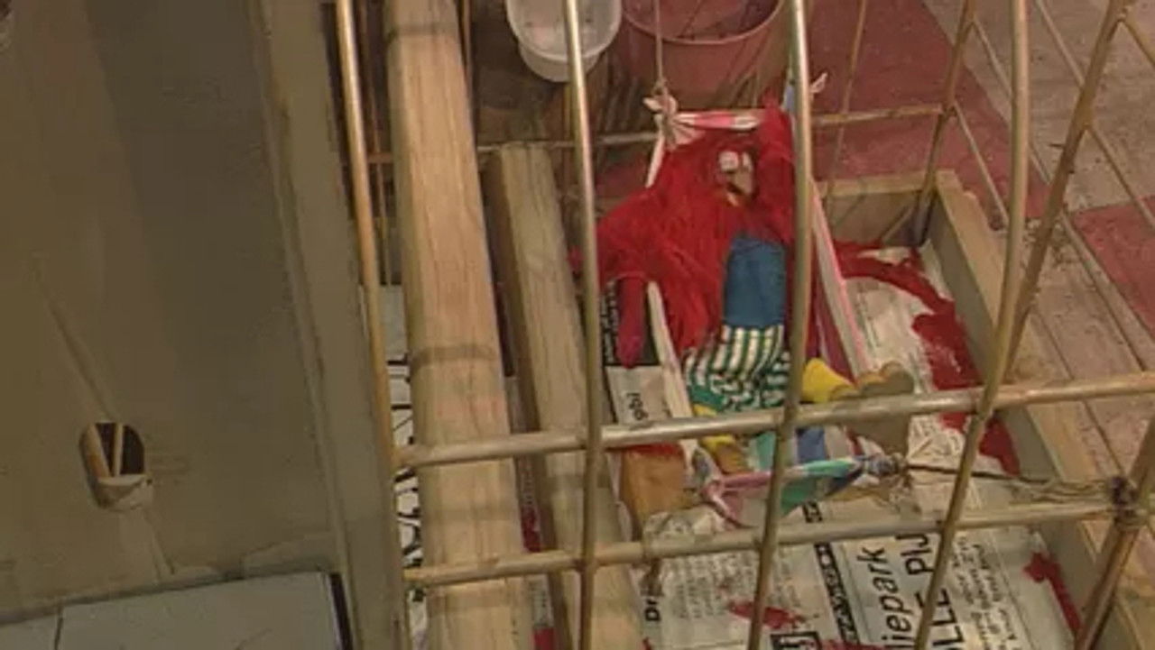 Wizzy & Woppy — Épisode 82