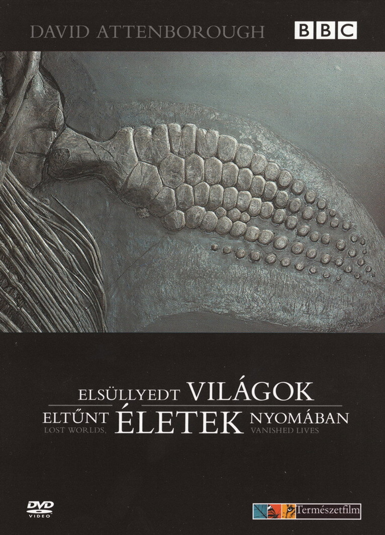 Elsüllyedt világok, eltűnt életek nyomában – plakát 6