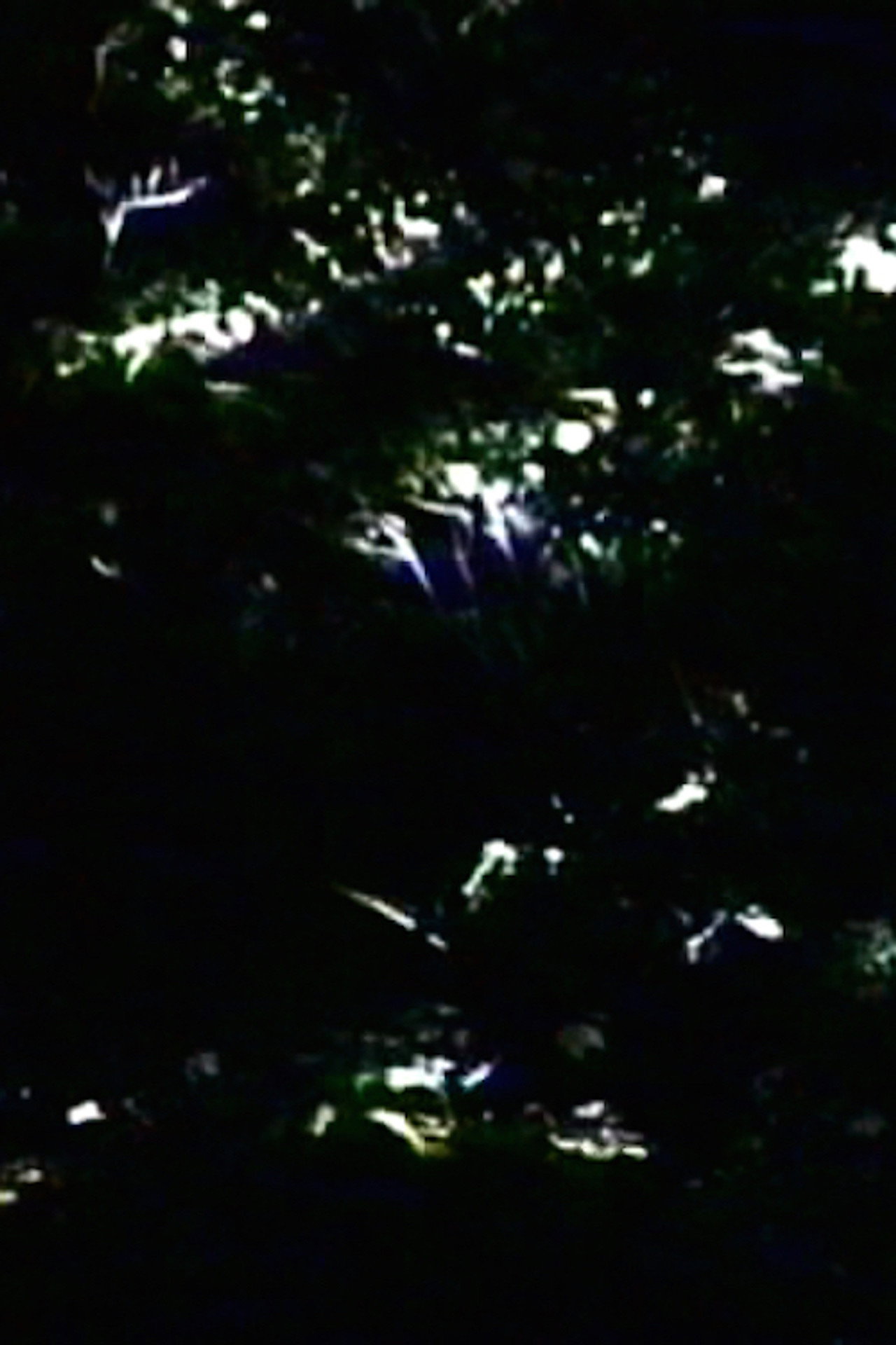 The Darkening filmaffisch