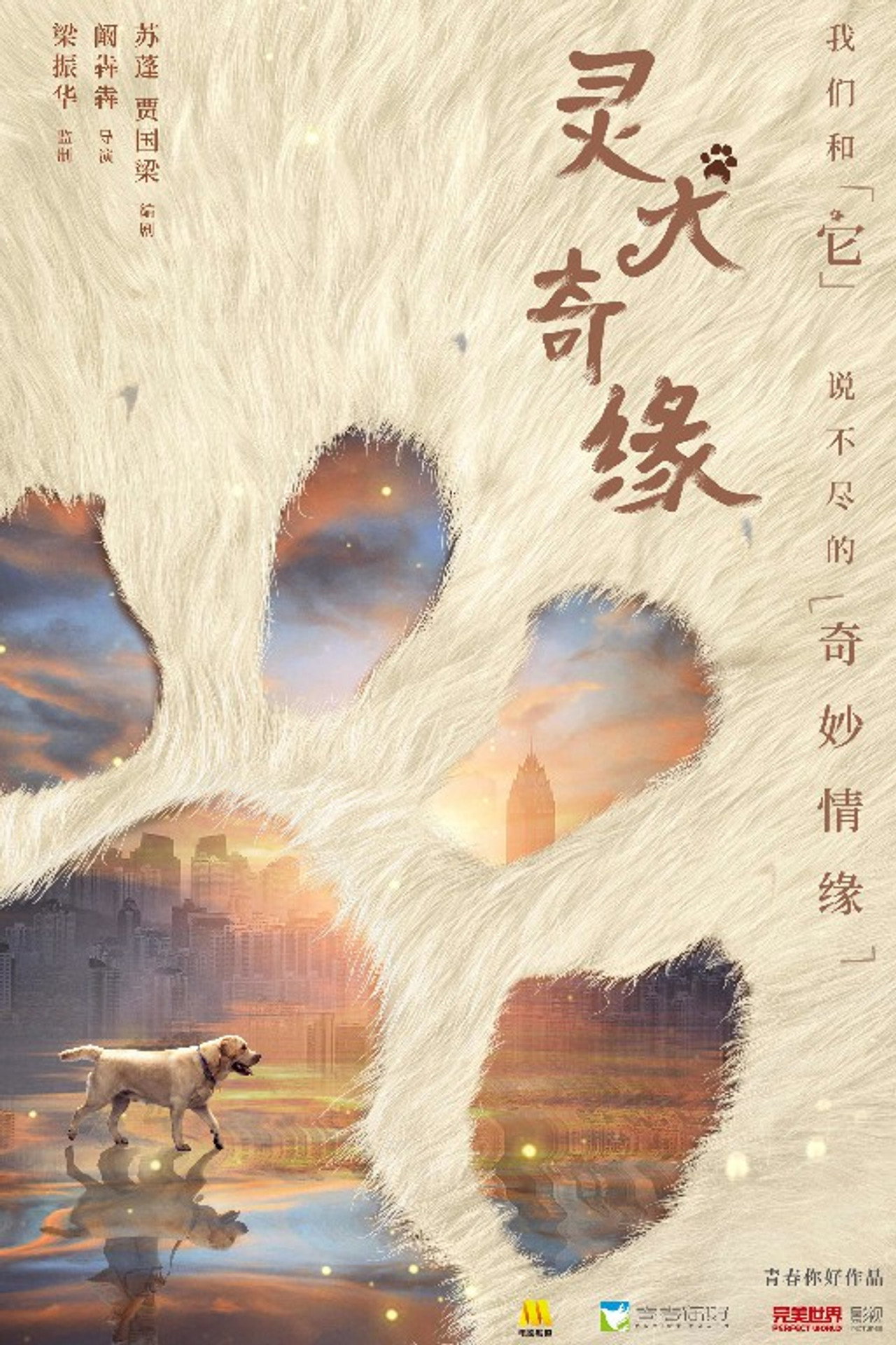 灵犬奇缘 filmaffisch