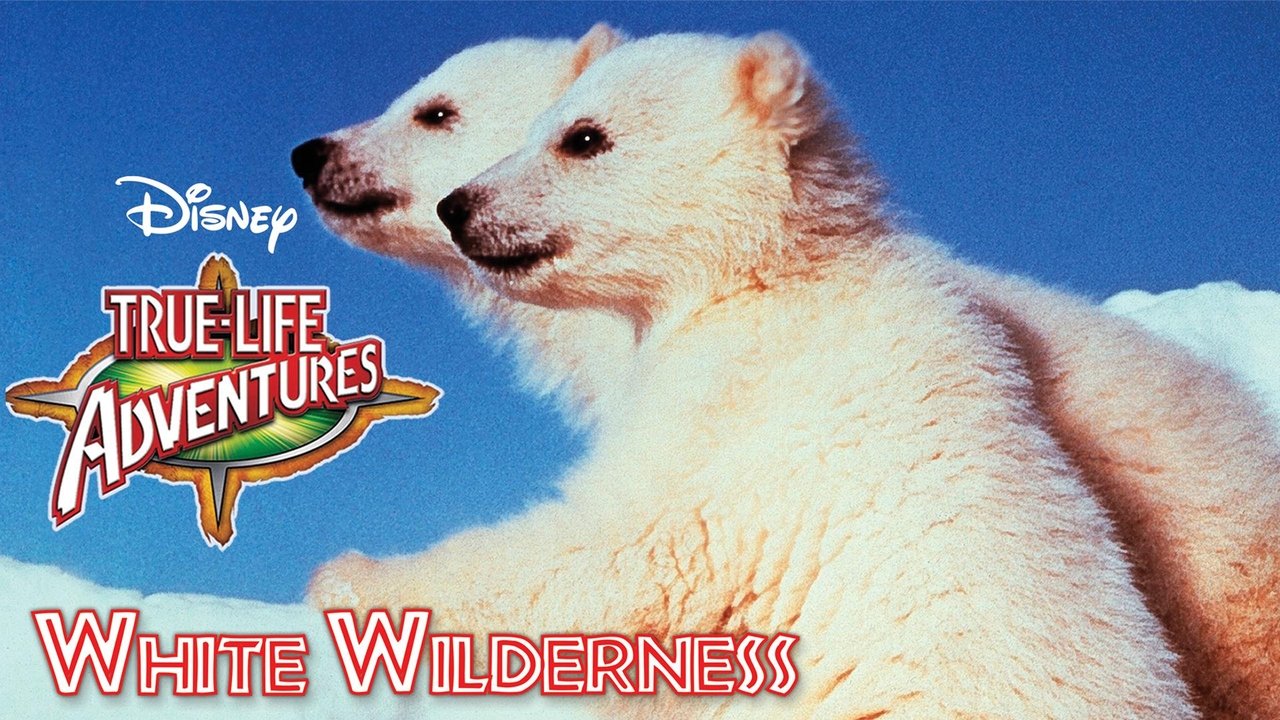 White Wilderness Backdrop Image