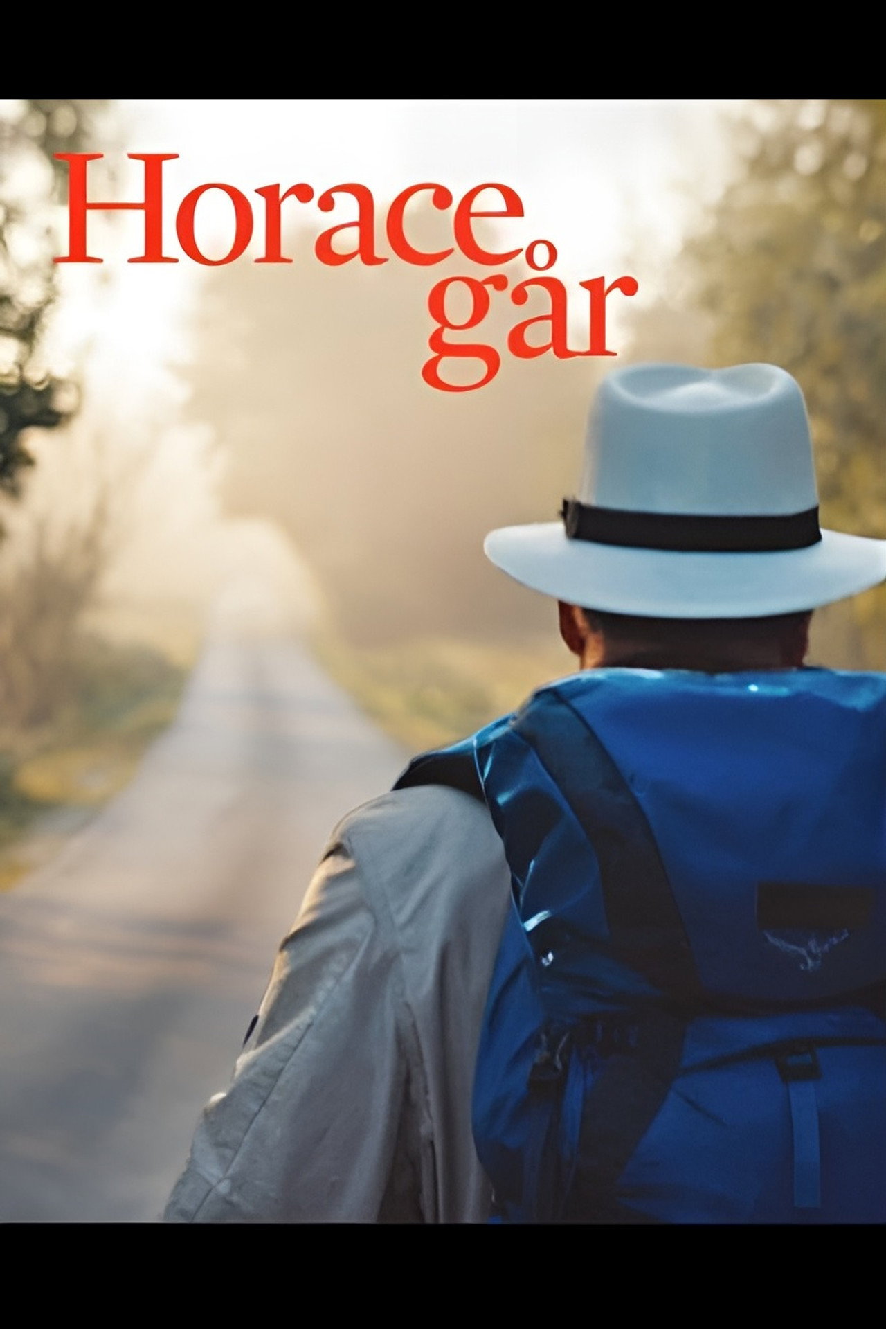 Horace går - en vandring genom livet och krisen filmaffisch