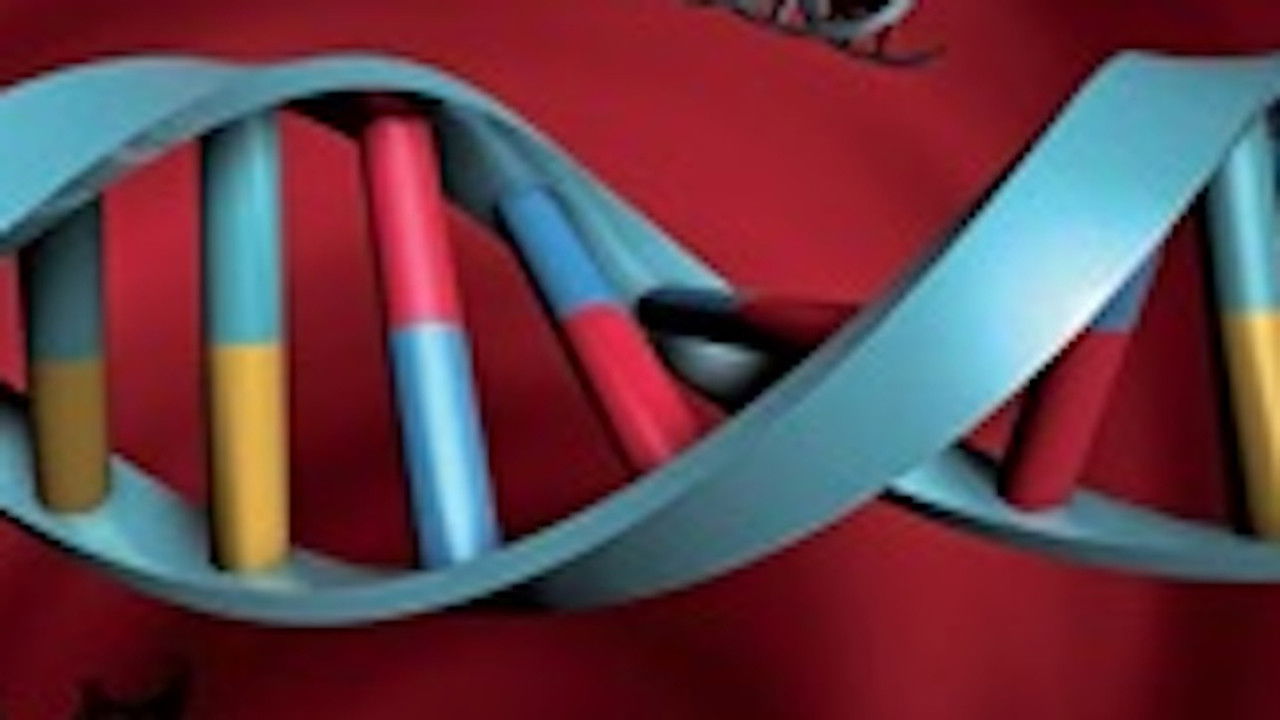 Viaggio nella scienza — Épisode 11