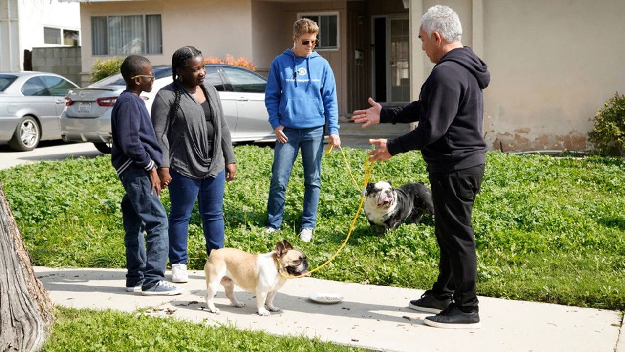 Cesar Millan: Tel Maître, Tel Chien — Épisode 2