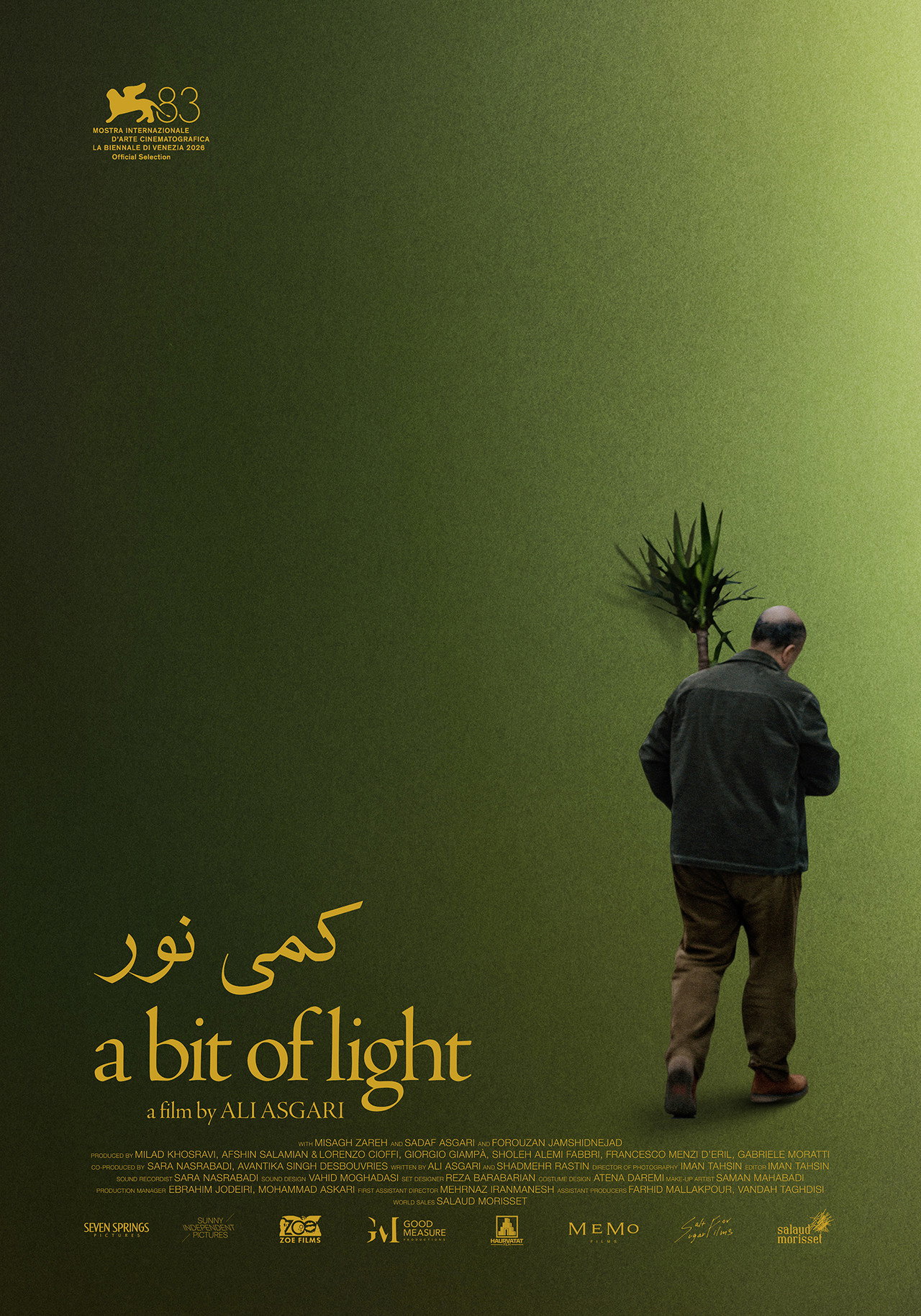 A Bit of Light