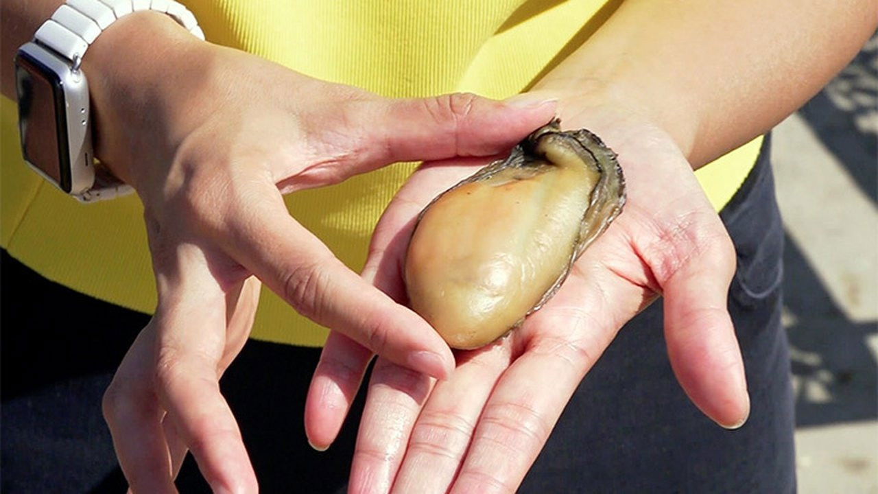 香港原味道 — Épisode 14