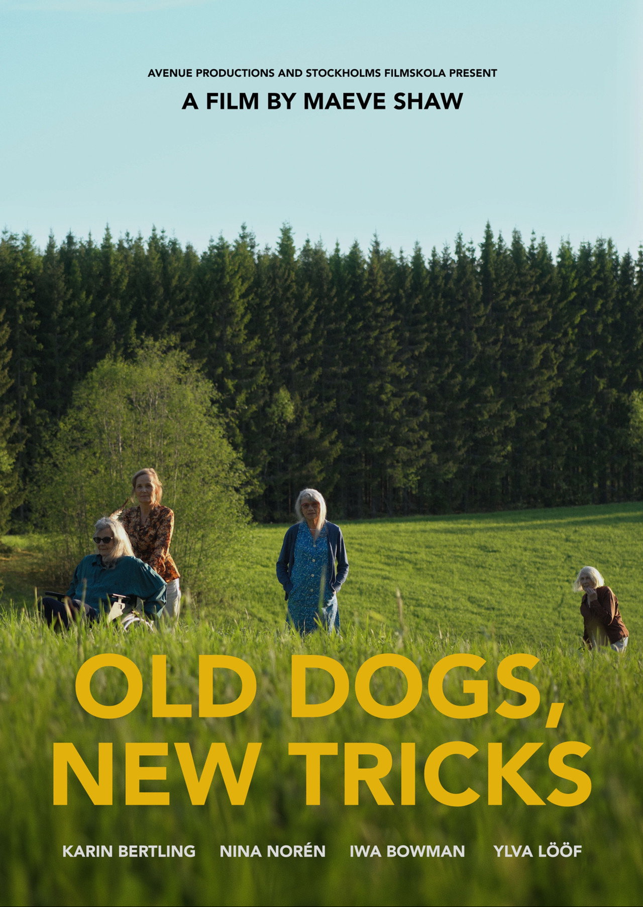 Old Dogs, New Tricks filmaffisch