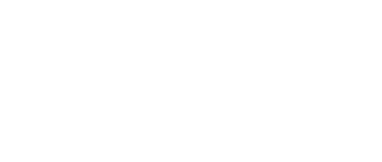 Инцидент Синдзюку