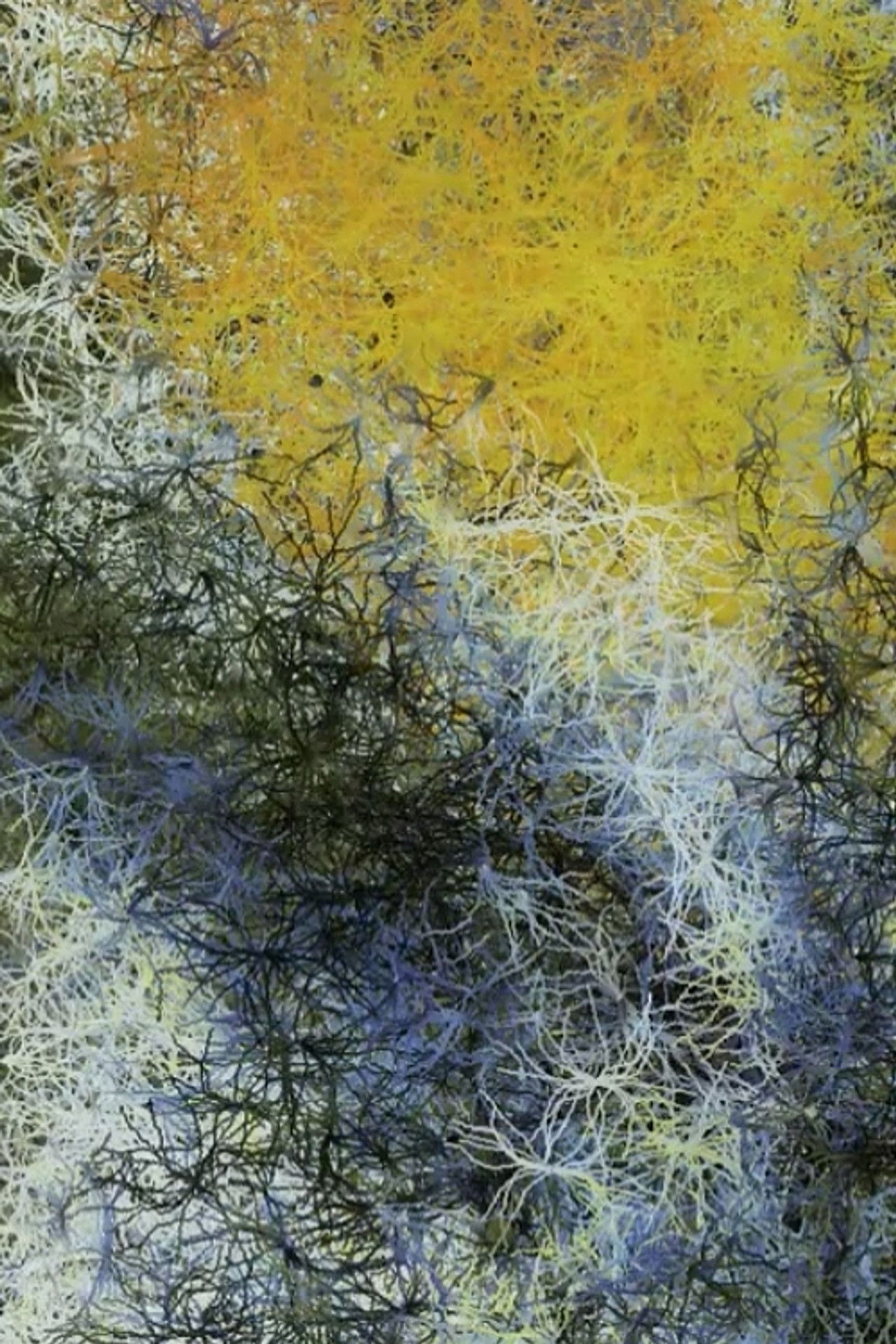 Nocturne no.248 Backdrop