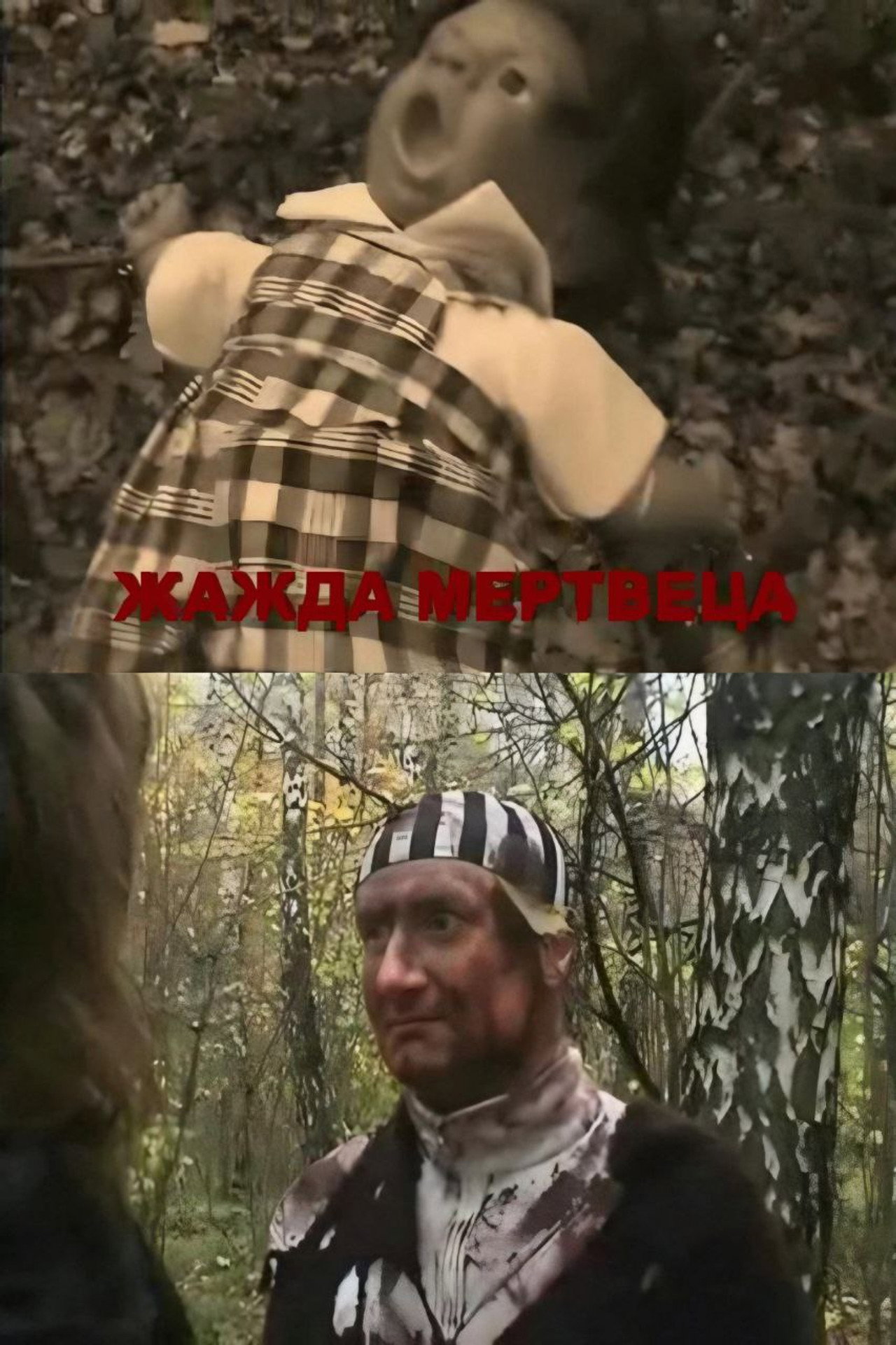Жажда мертвеца filmaffisch