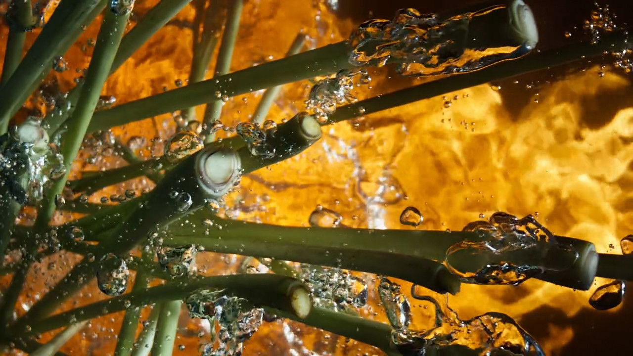 暹罗百味 — Épisode 2