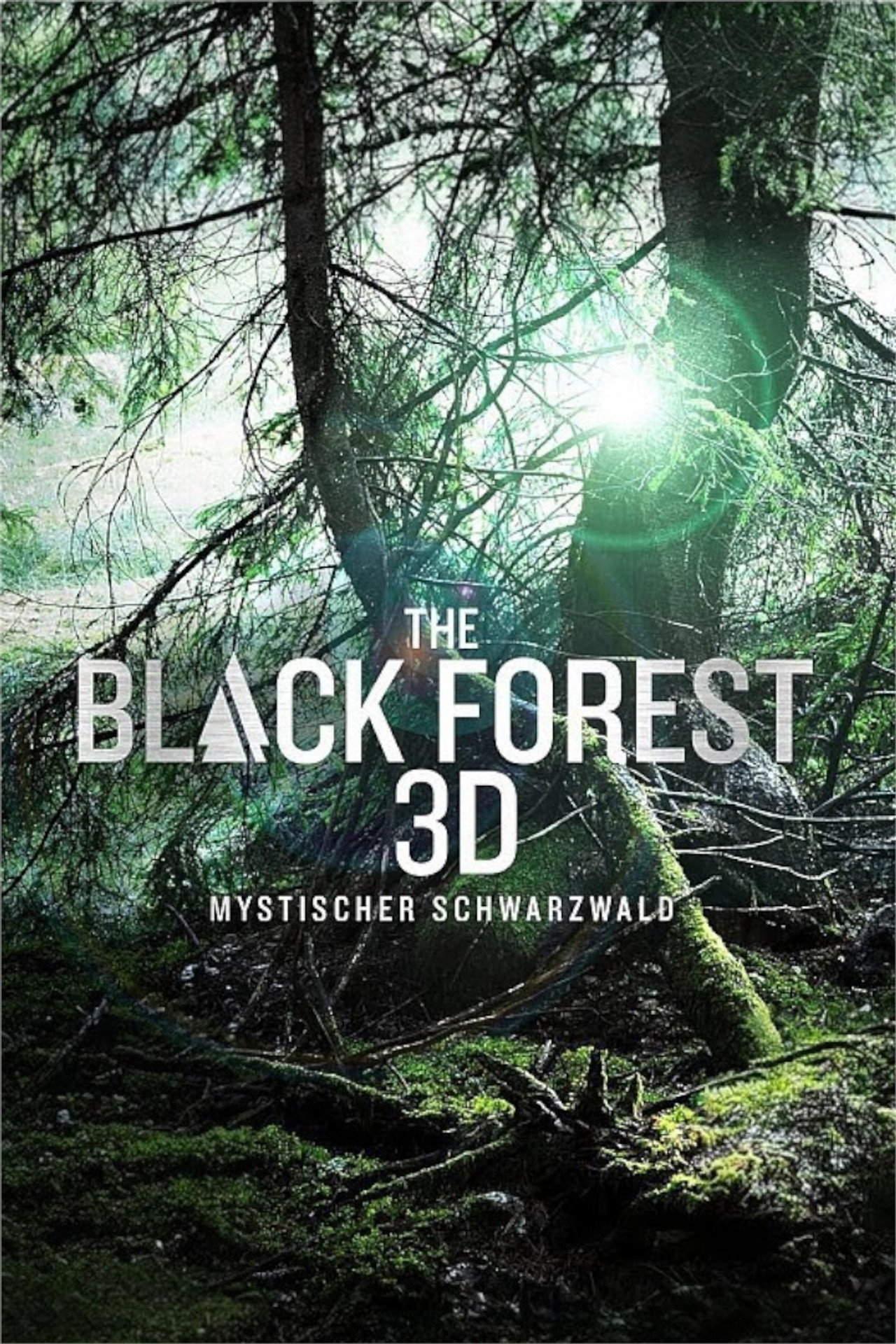 The Black Forest - Mystischer Schwarzwald filmaffisch