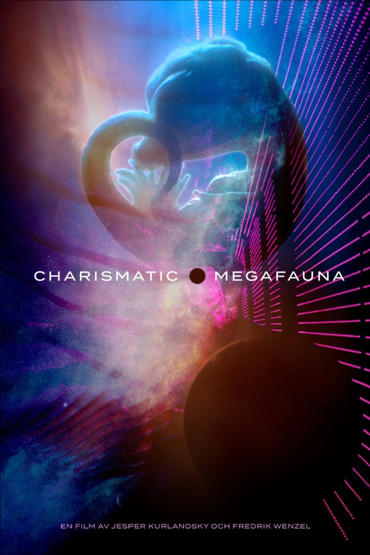 Charismatic Megafauna filmaffisch