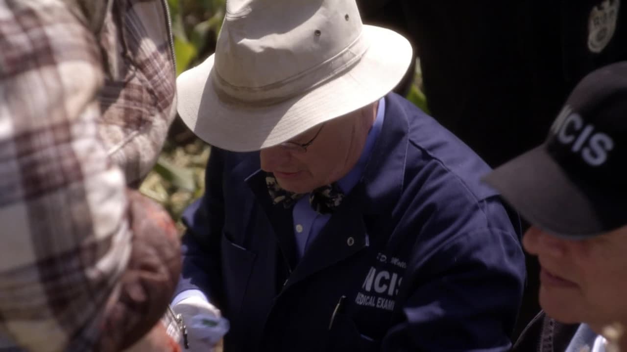 NCIS - Season 7 Episode 9 : Child's Play