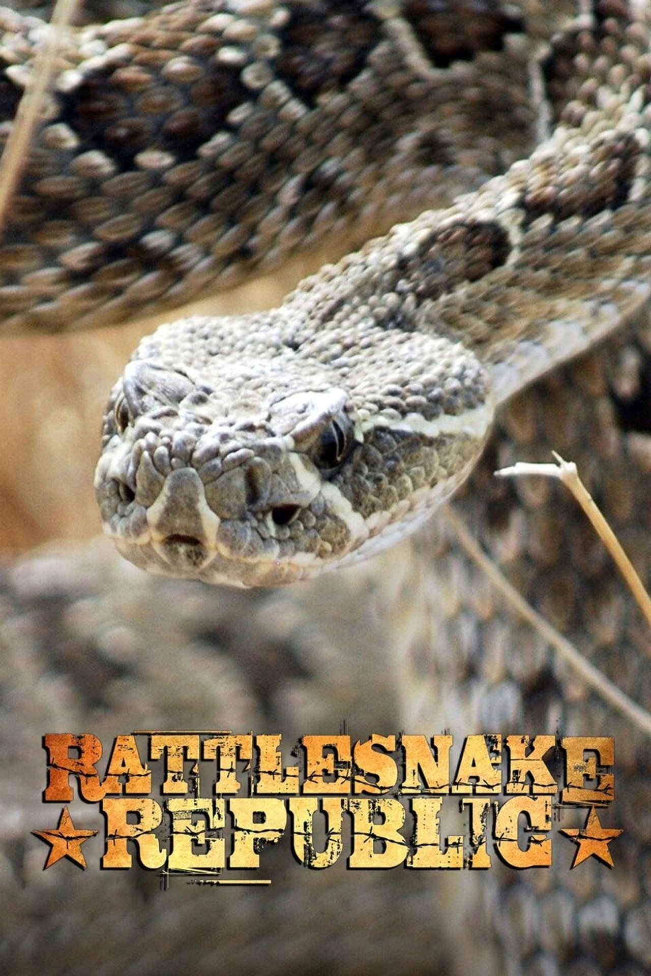 Rattlesnake Republic affisch