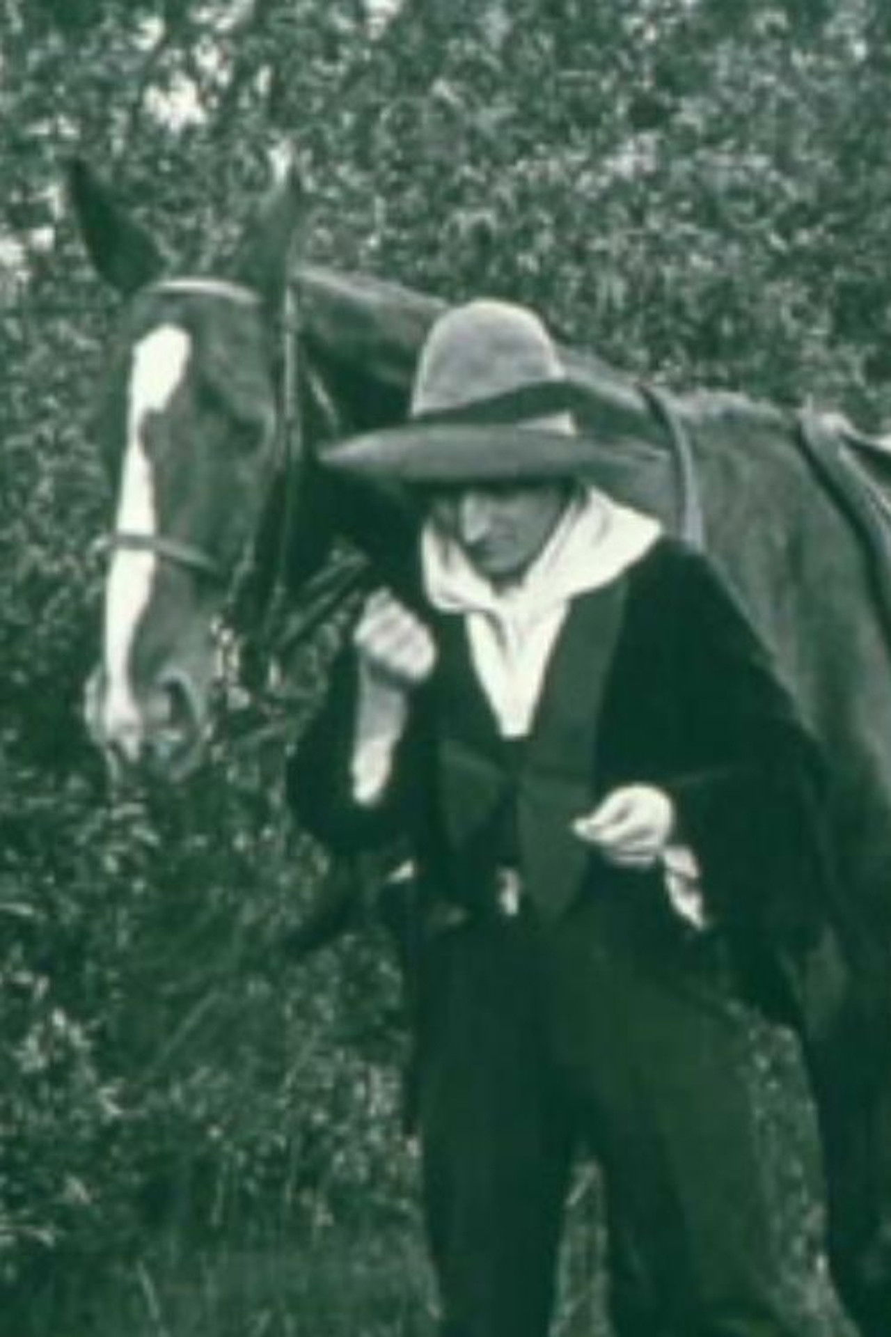 A Telegram from Mexico Backdrop