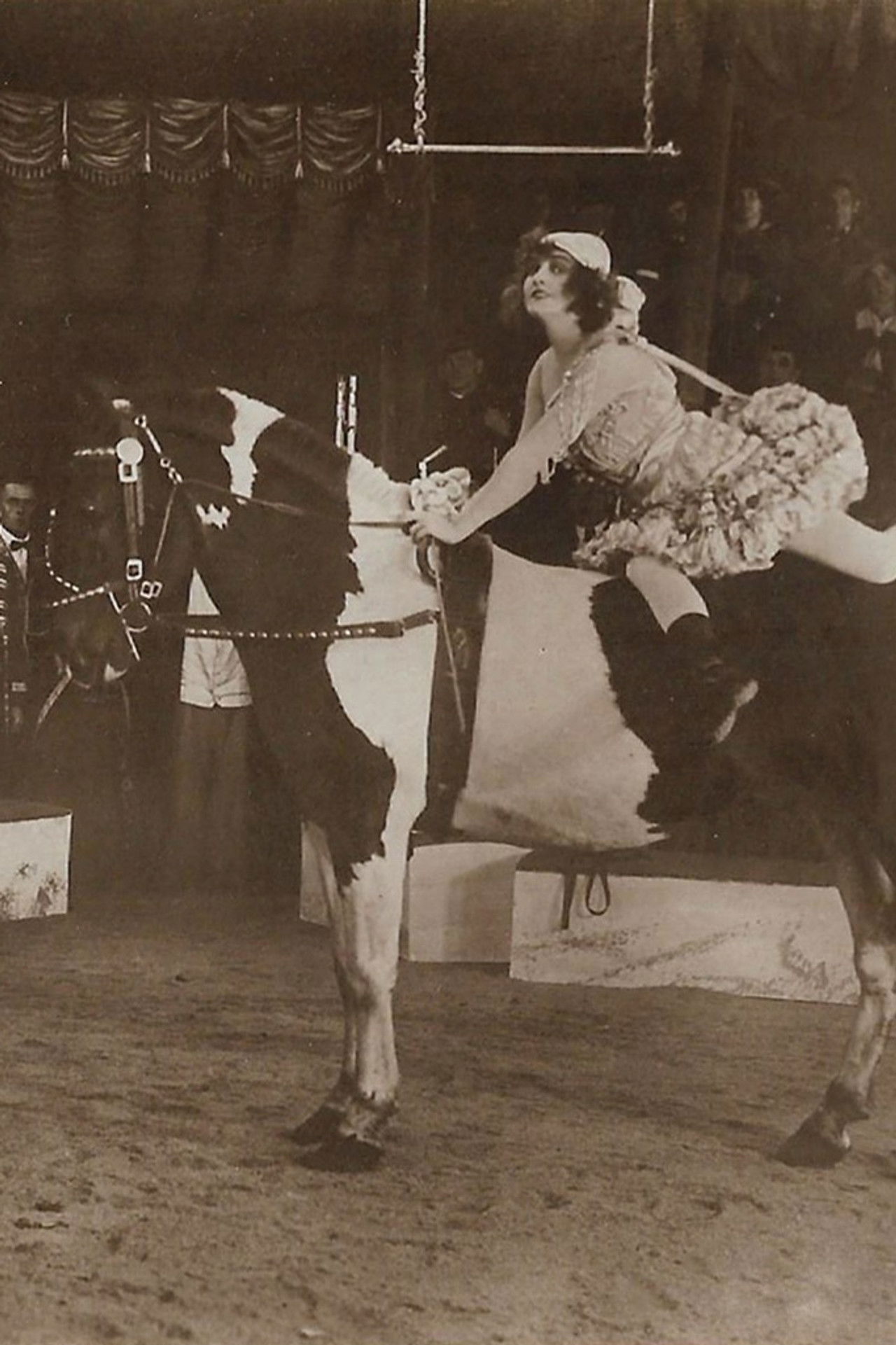 Um Krone und Peitsche Backdrop