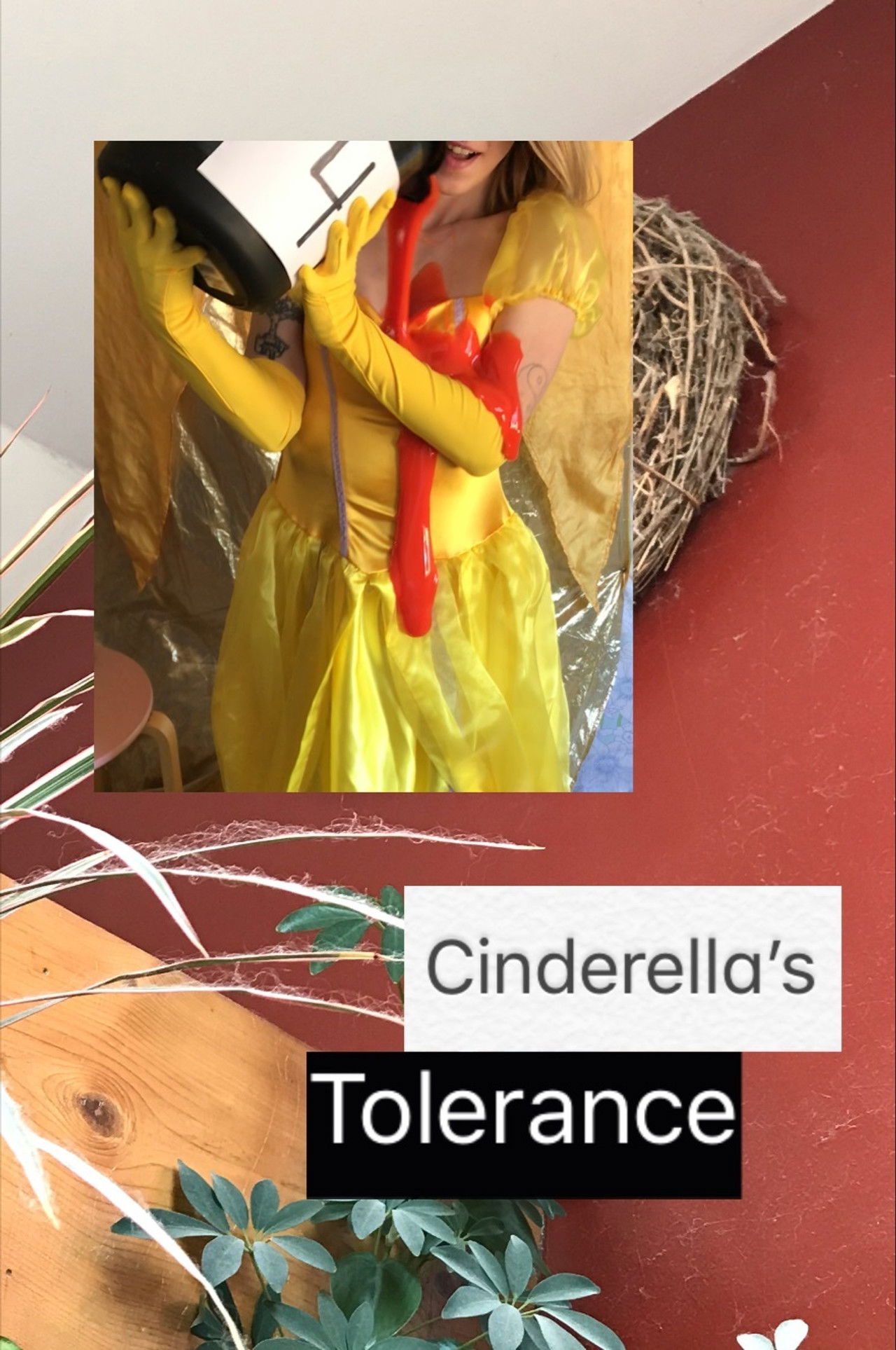 Cinderella's Tolerance Backdrop