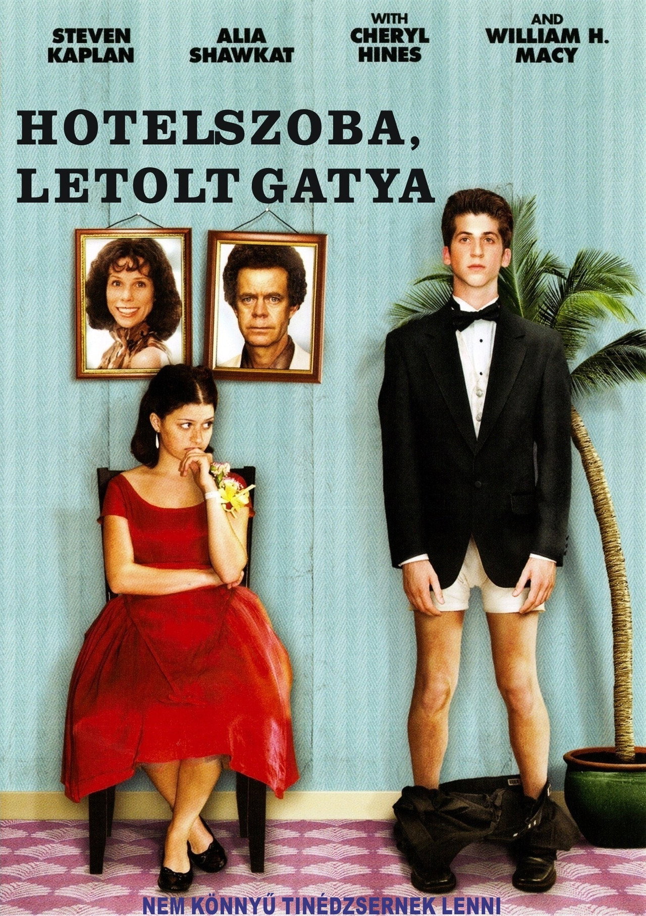 Hotelszoba, letolt gatya – plakát 5